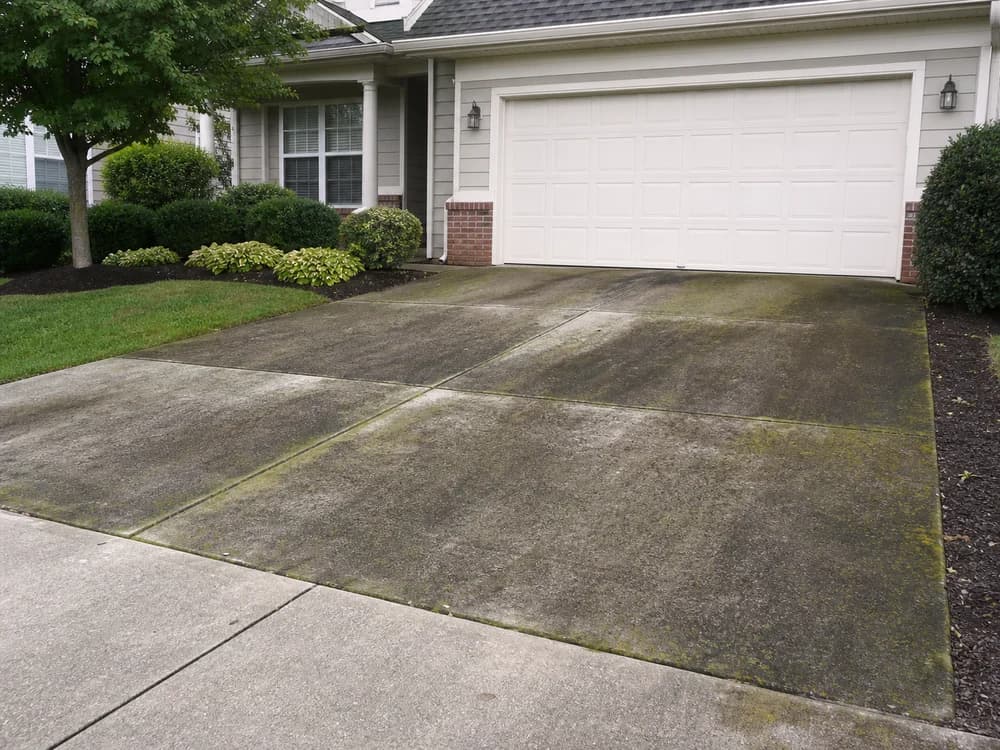 Algae-covered driveway before cleaning